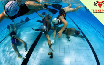 เทคนิคกีฬาฮอกกี้ใต้น้ำ รู้จักกับ เทคนิคกีฬาฮอกกี้ใต้น้ำ ที่คนทั่วไปส่วนใหญ่ จะยังคงไม่คุ้นเคยกัน เพราะการเล่นฮอกกี้ใต้น้ำจะต้องมีทีม